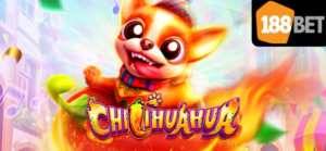 Chillihuahua 188bet