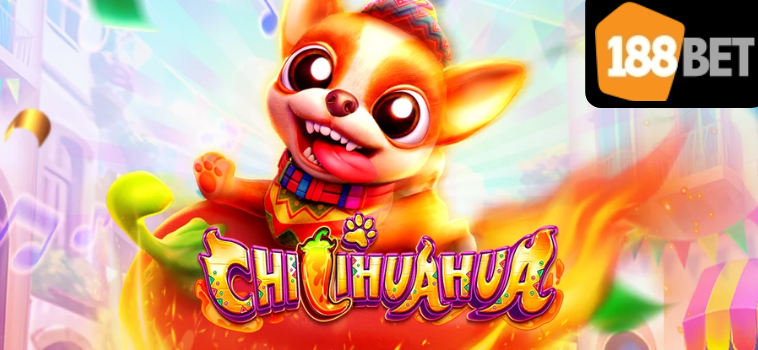 Chillihuahua 188bet