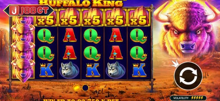 buffalo king tai j88
