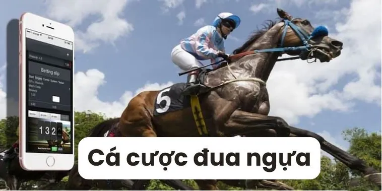 Tìm Hiểu Đua Ngựa ABC8: Sân Chơi Cá Cược Hấp Dẫn